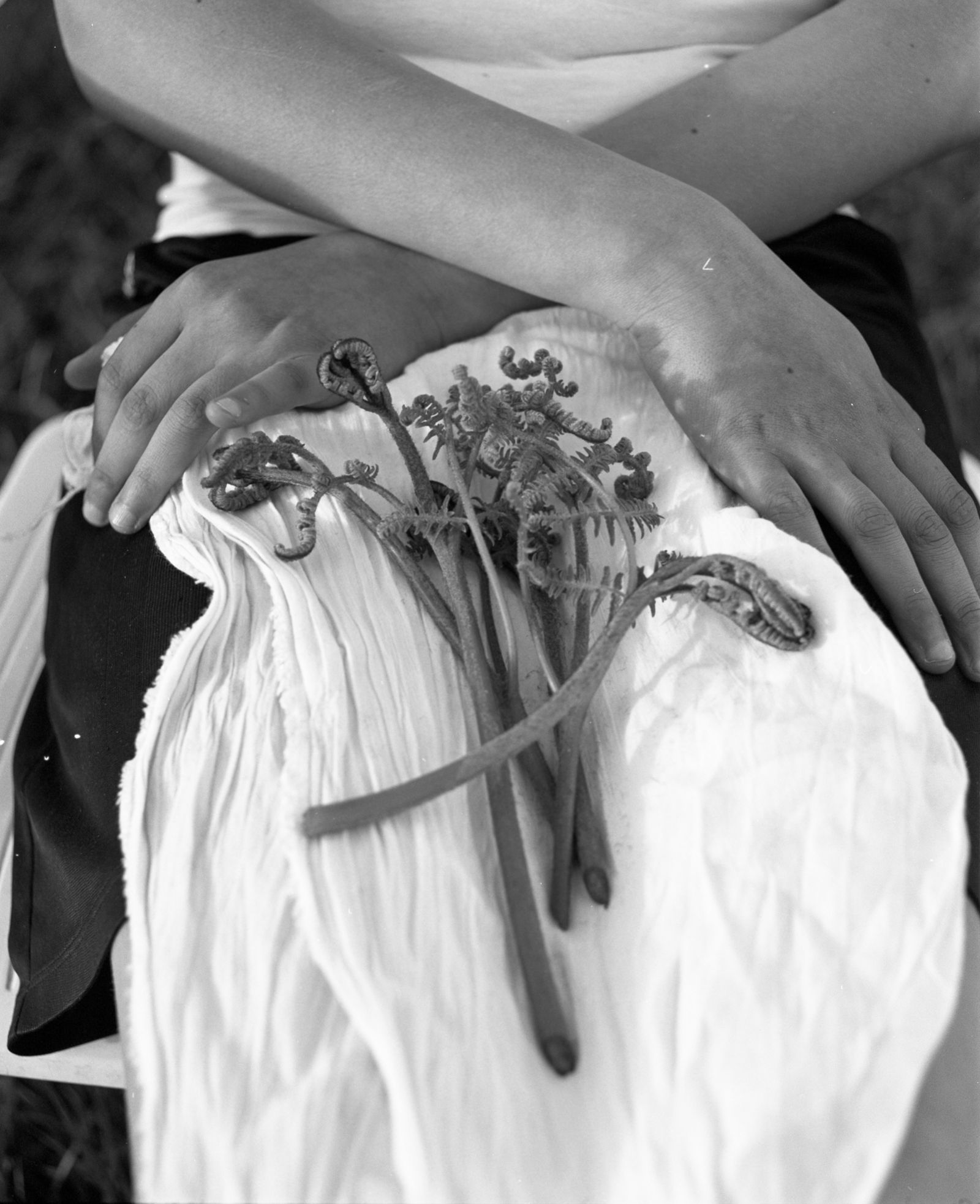 © Farren van Wyk - Still Life