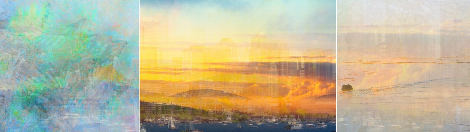 © Neil Berkowitz - "Exhibit Y: The Natural History of the Puget Sound" (2023) Multilayer photographic archival pigment print