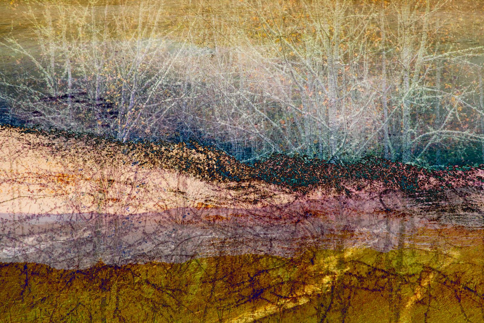 © Neil Berkowitz - "Ode to Public Lands #1" (2021) Multilayer photographic archival pigment print