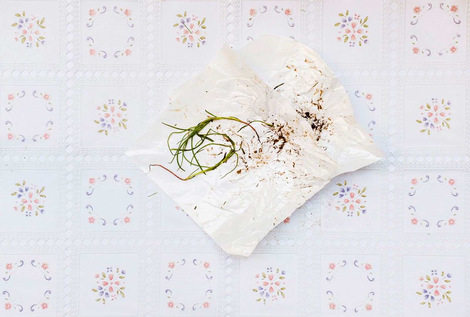 © Barbara Modolo - Image from the Toxo menu photography project
