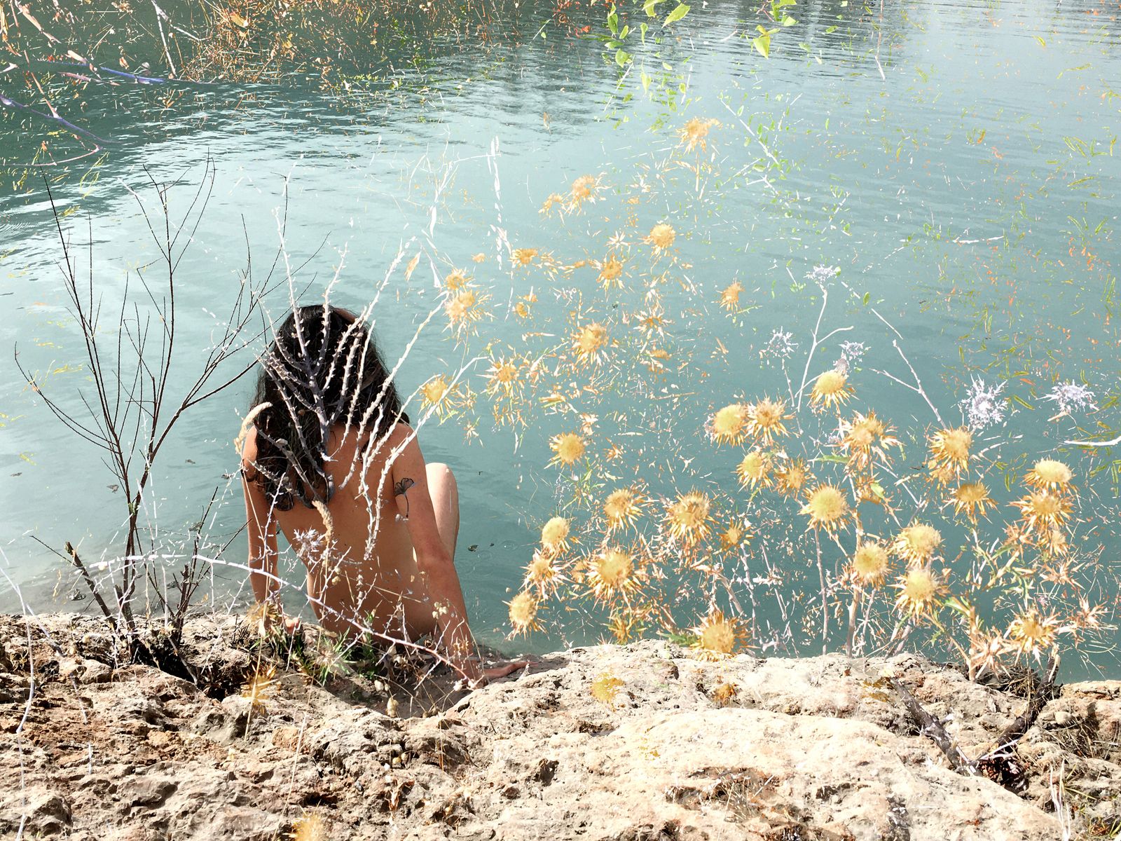 © Laurene Praget - 10 - Lucía (ESP), chamomile flower, Zújar, España