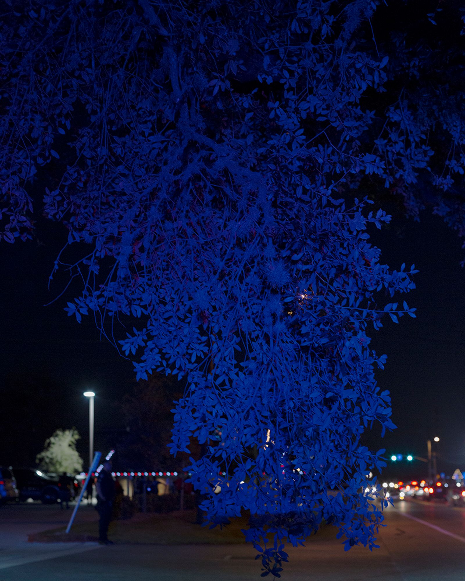 © Allison Hess - Image from the What Remains photography project