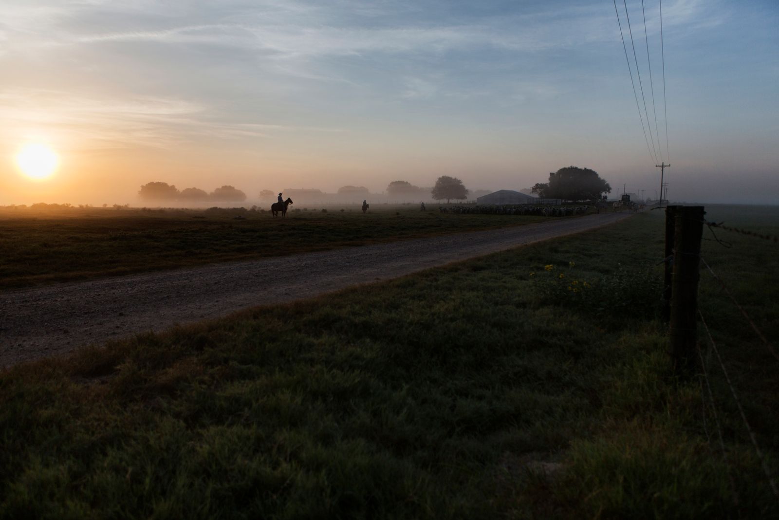 © Allison Hess - Image from the Disappearing Breed photography project