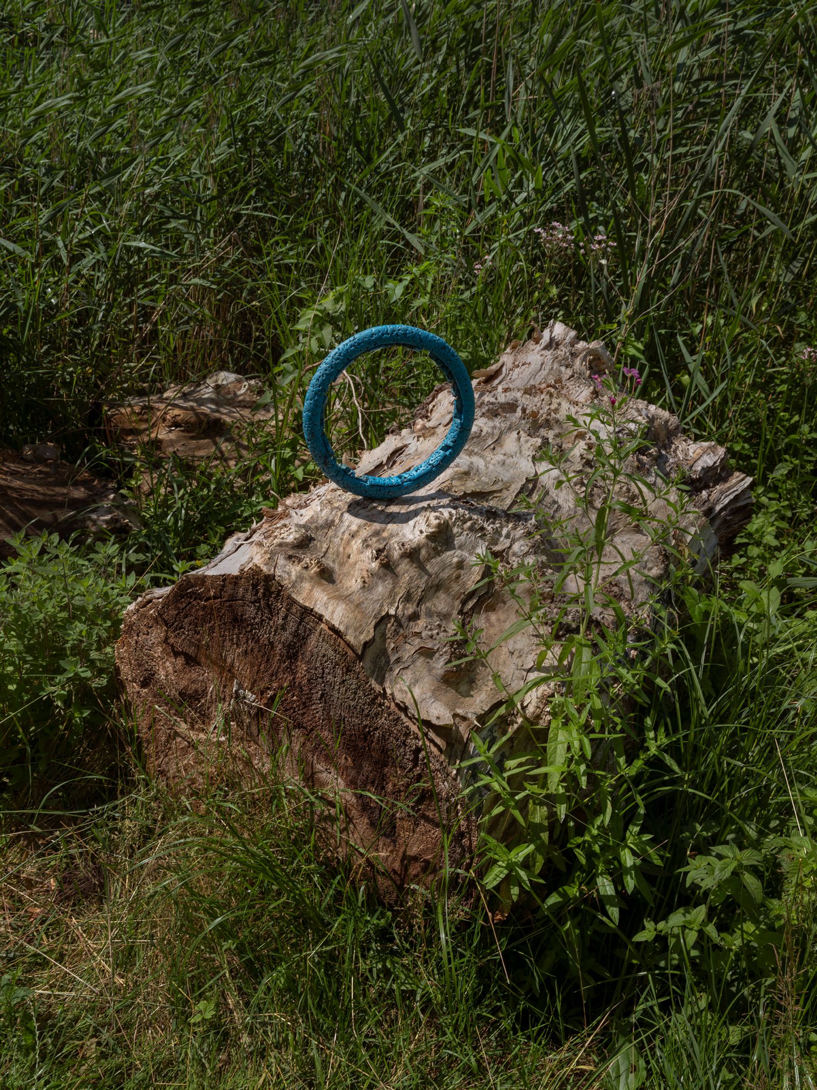 © Igor Omulecki - Image from the Stereo Ha photography project