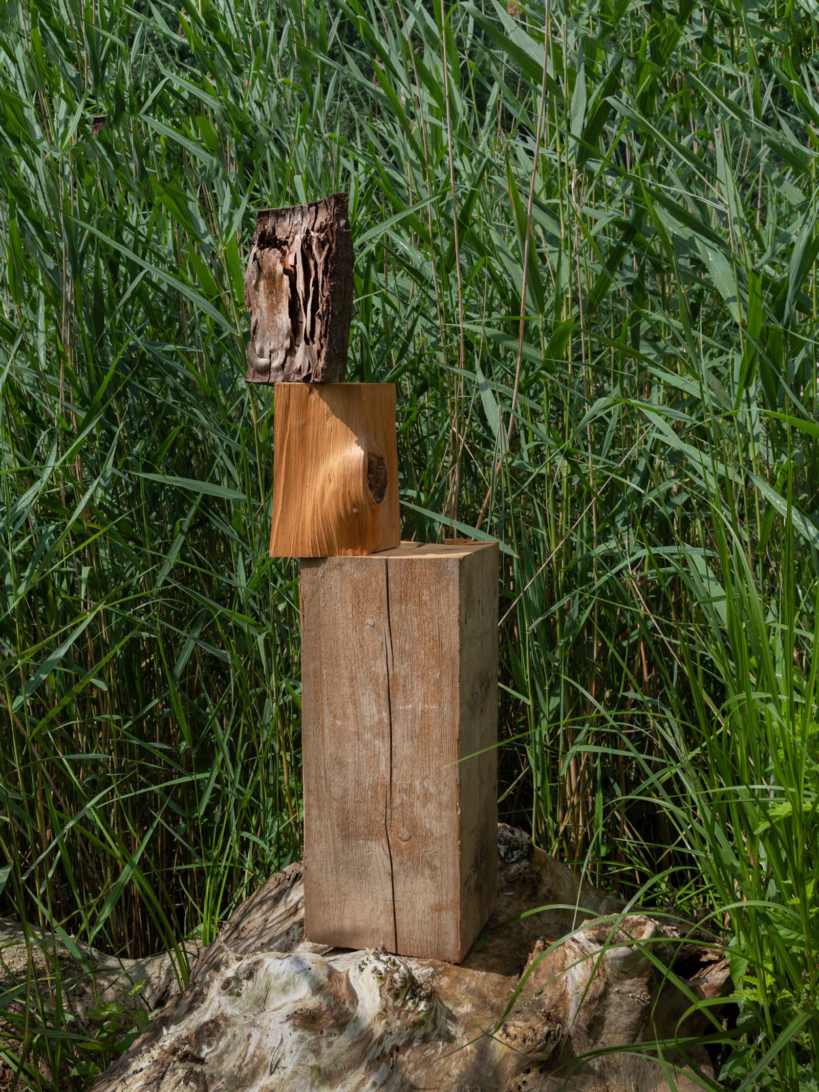 © Igor Omulecki - Image from the Stereo Ha photography project