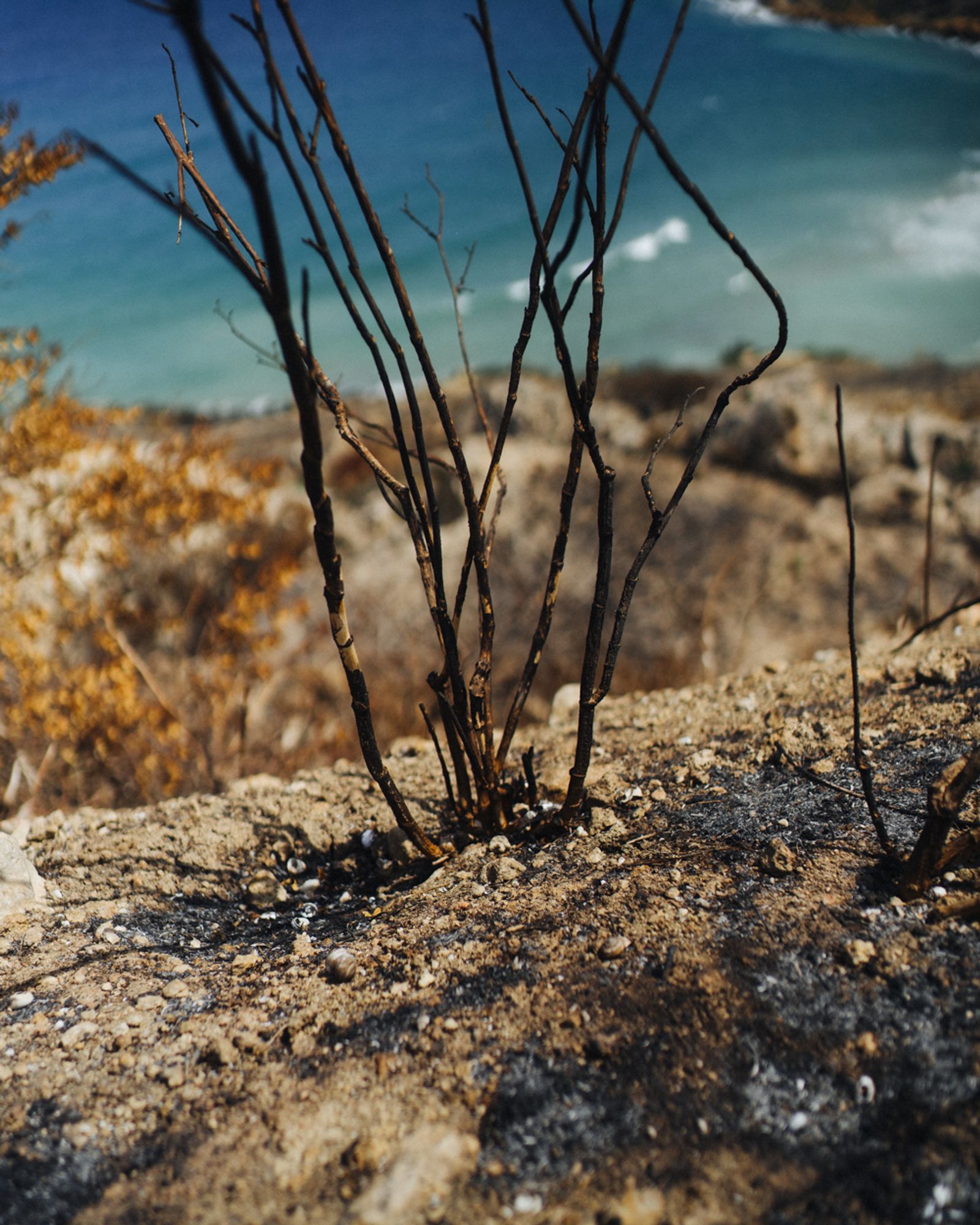 © Thomas Martin - Image from the Somewhere Less Than Heaven photography project