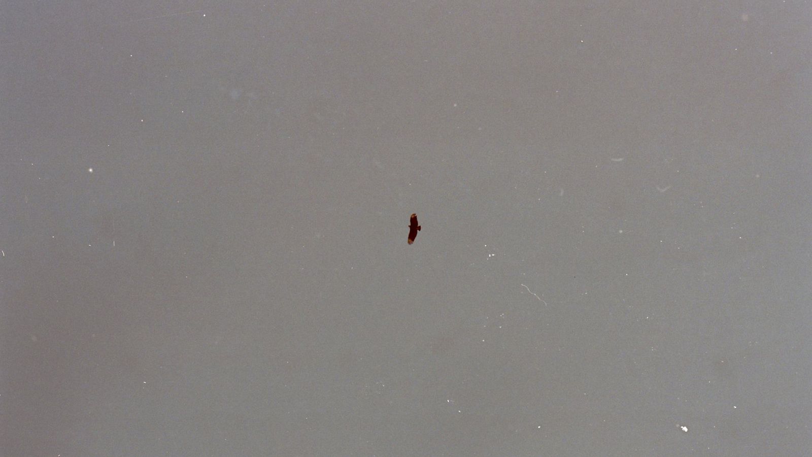 © Adél  Koleszár - Image from the Wounds of violence photography project