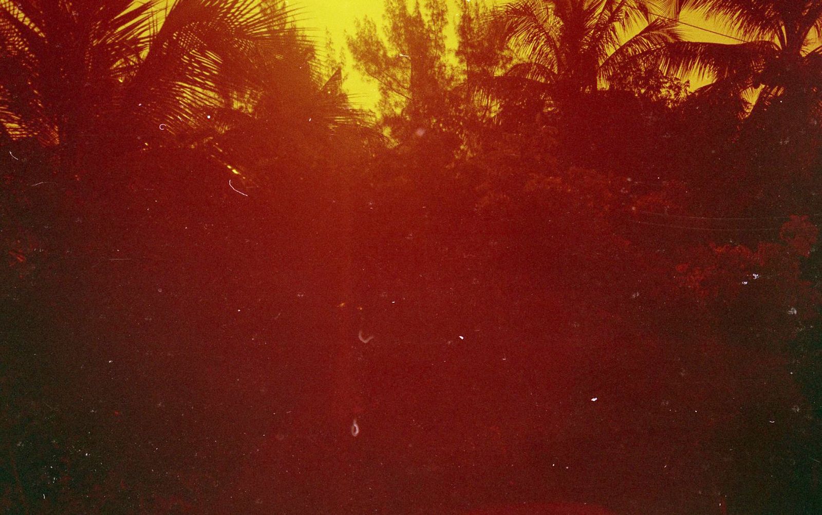 © Adél  Koleszár - Veracruz ’s beautiful. It is filled with life, with light, with warmth, with the tropic.