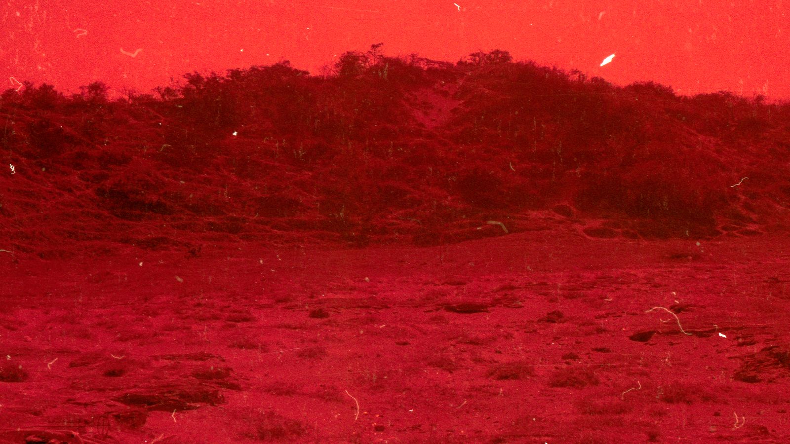 © Adél  Koleszár - Image from the Wounds of violence photography project