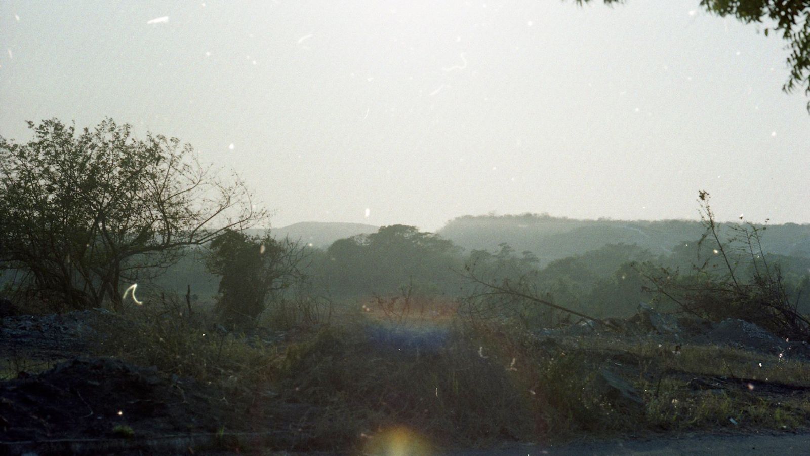 © Adél  Koleszár - The sun rises every day. If you have a problem you shall smile to life.