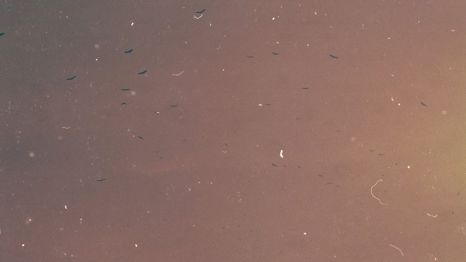 © Adél  Koleszár - Image from the Wounds of violence photography project