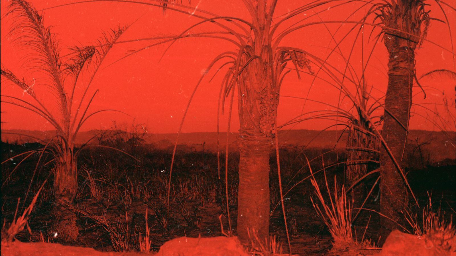 © Adél  Koleszár - Image from the Wounds of violence photography project