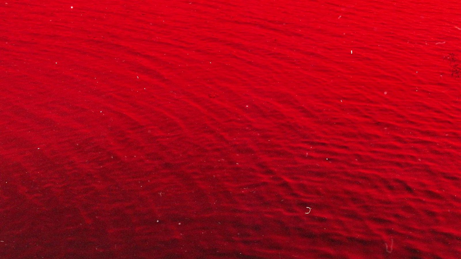 © Adél  Koleszár - Image from the Wounds of violence photography project