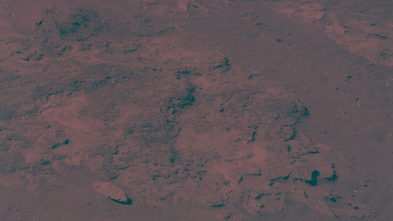 © Adél  Koleszár - Image from the Wounds of violence photography project