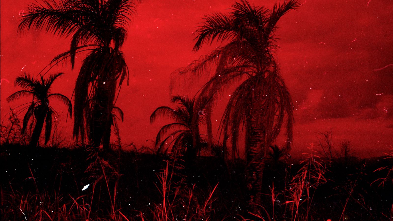 © Adél  Koleszár - Image from the Wounds of violence photography project