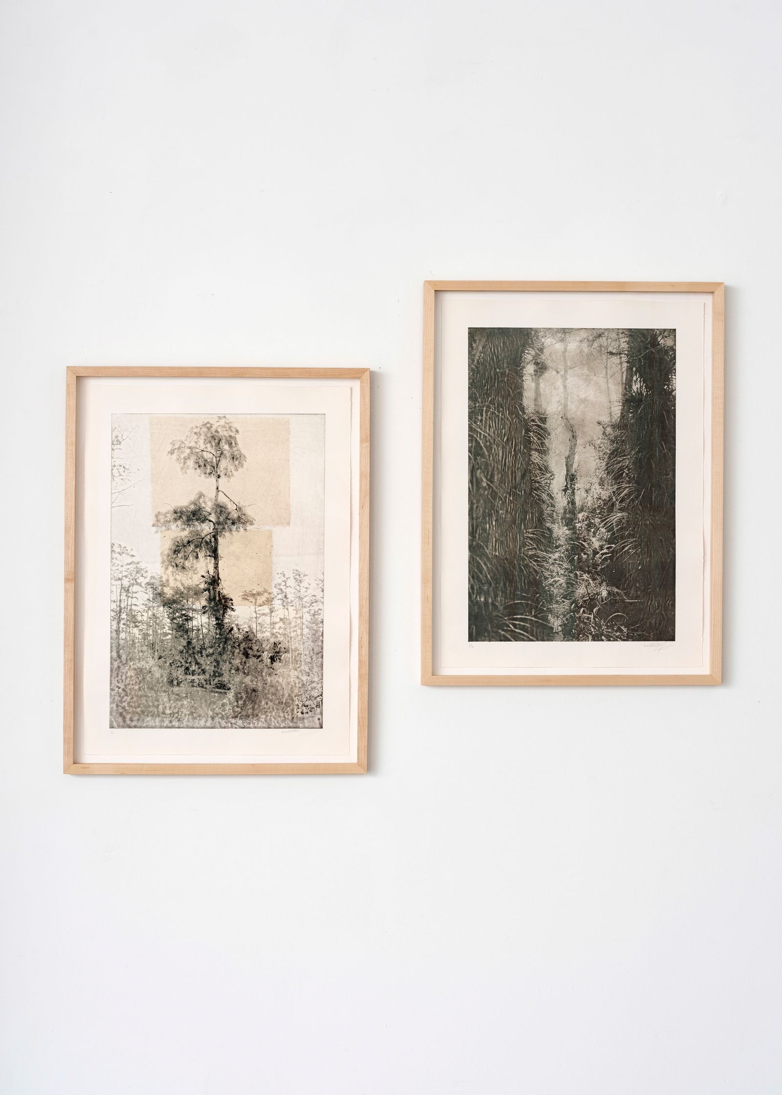 © Itamar Freed - Cypress Tree I+II, 2019, Etching with chine colle on Zerkyl Natural 63 x 47 cm each