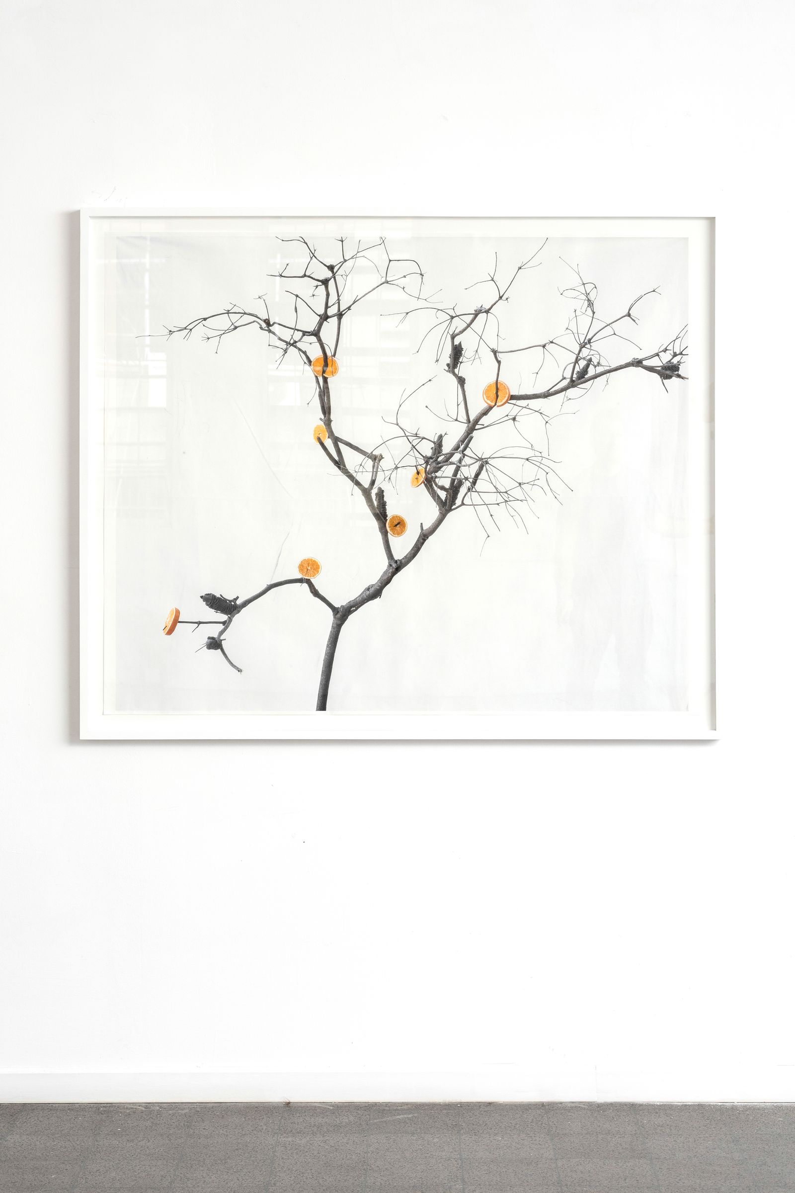 © Itamar Freed - Orange Tree, 2019, Photography, inkjet pigment print on archival Kozo Japanese paper, 110x133 cm