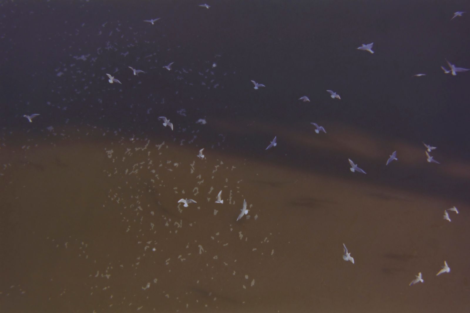 © Sana Ahmadizadeh - Image from the The Eighth Day photography project