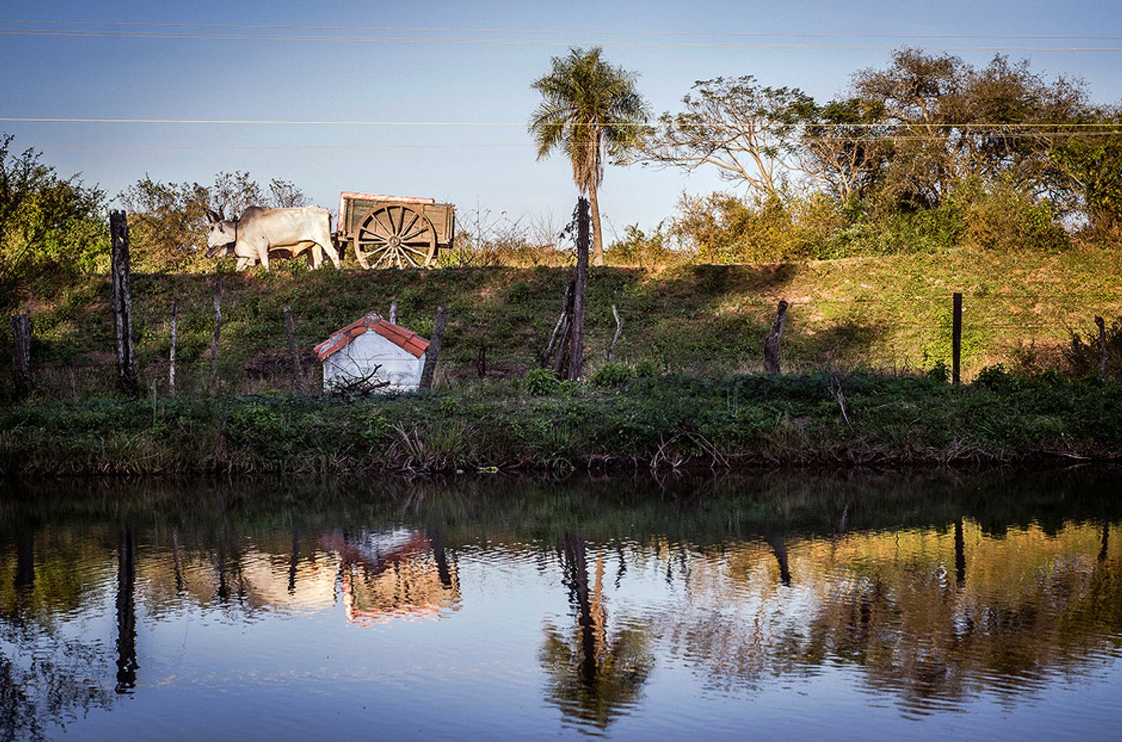 © Marcelo David Sandoval - Reflection of a driverless oxcart as it crosses by the path where Sergio Covis died, when he was 25 years old.
