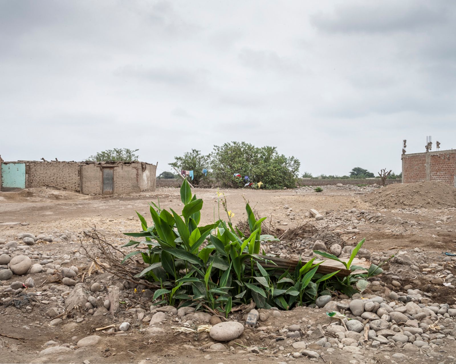 © Solange Adum Abdala - Image from the El Guayabo photography project