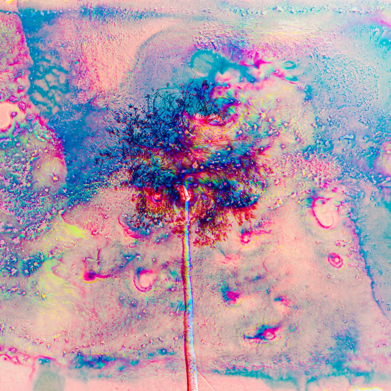 © Solange Adum Abdala - Image from the La conversión de la huella photography project