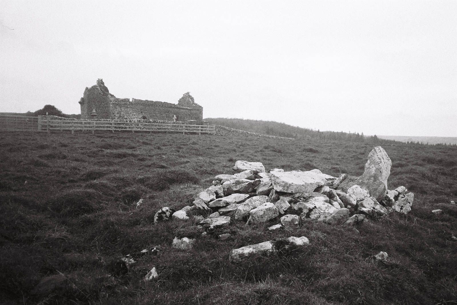 © Roisin White - Image from the Cross The Child's Palm with Silver photography project