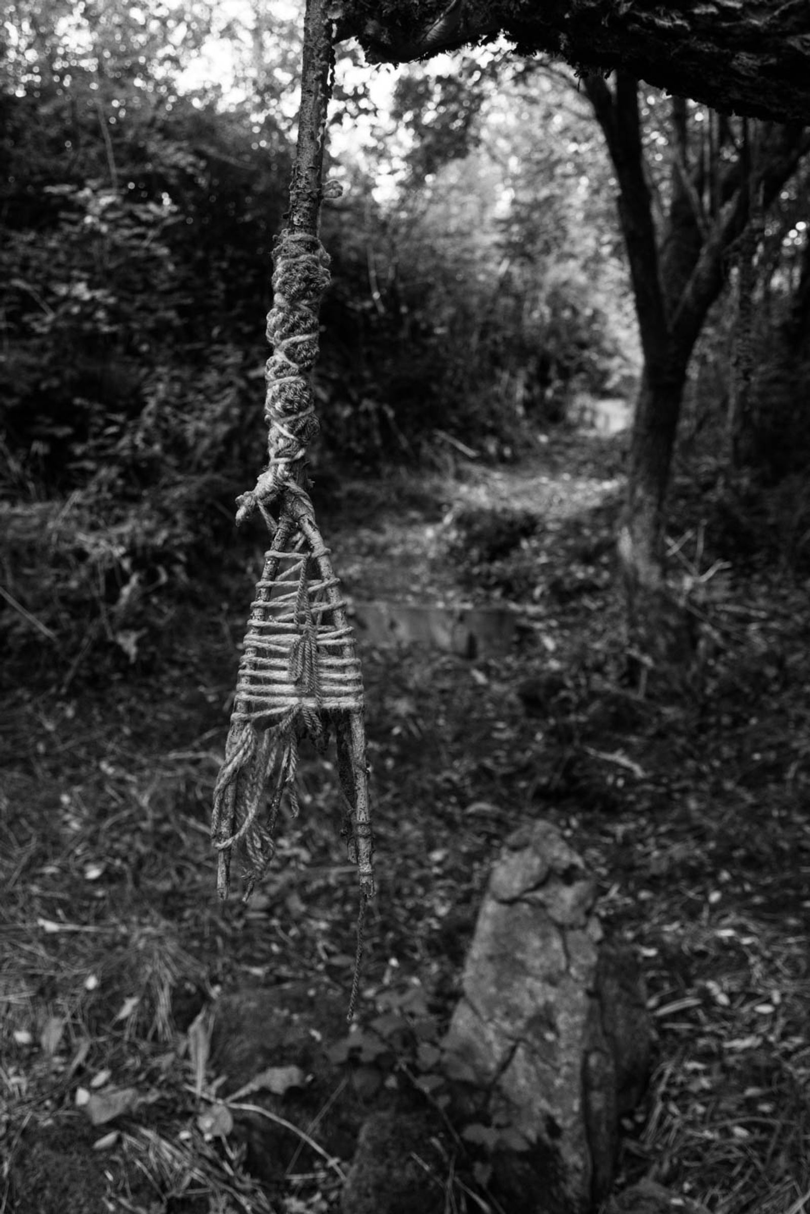 © Roisin White - Image from the Cross The Child's Palm with Silver photography project