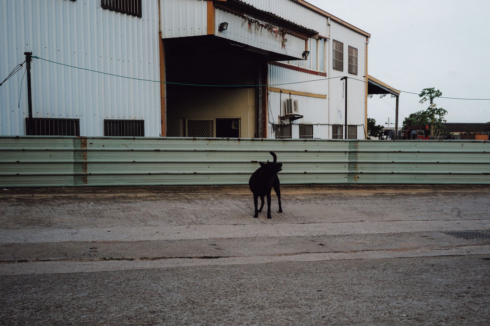 © Elke Scholiers - A dog barks in front of a dysfunctional warehouse on Kinmen Island.
