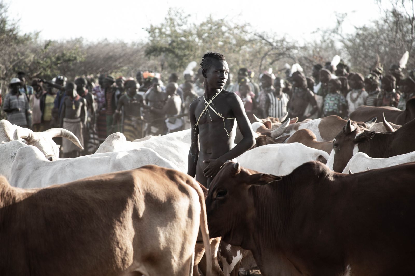 © Anthea Spivey - Image from the Hamer Bull Jumping Ceremony - Ethiopia photography project