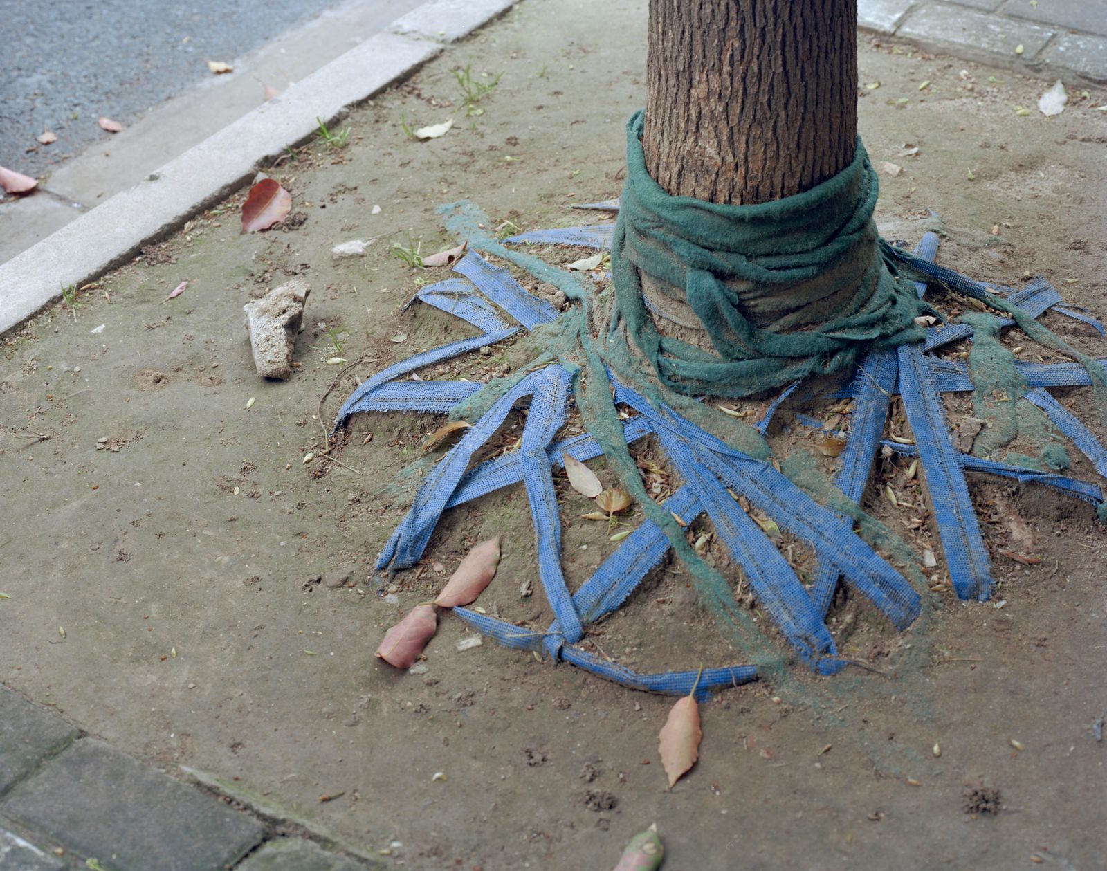 © Yan Shi - Image from the Plastic wings photography project
