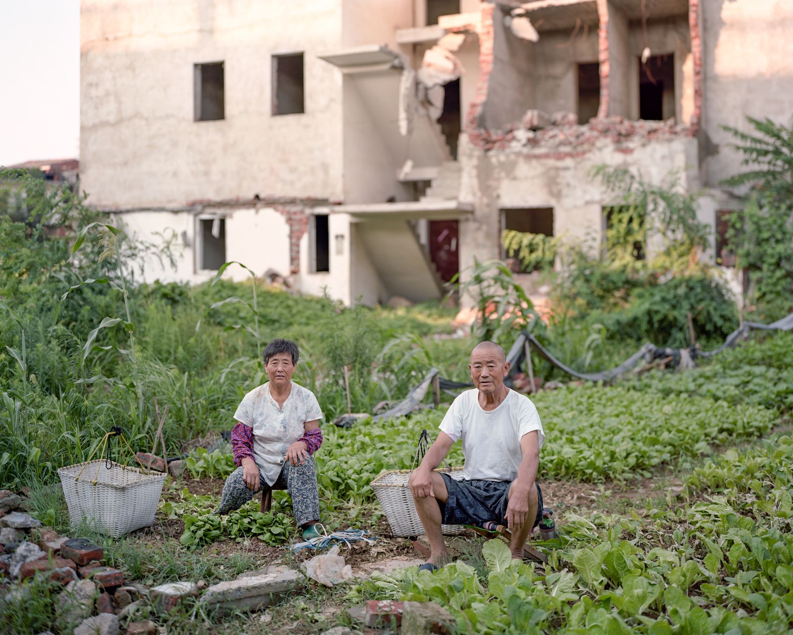 © Dustin Shum - An old couple farm on the land where their demolished home was. Shuandun Town, Hefai City, Anhui Province. 7/2013