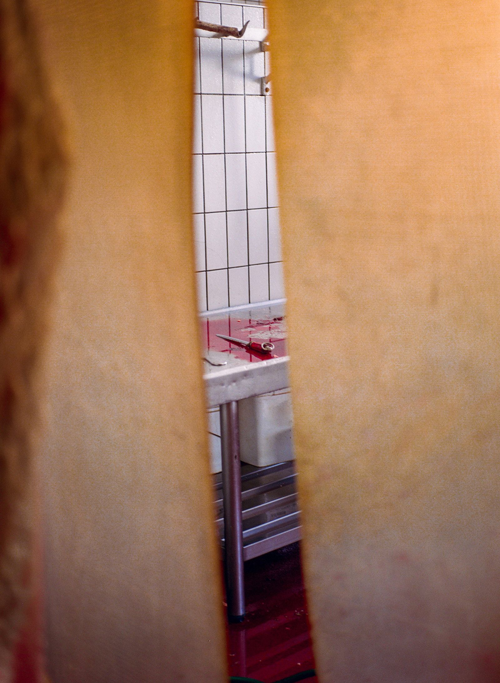 © Claudia Mann - A knife used for the exsanguination of a cow.