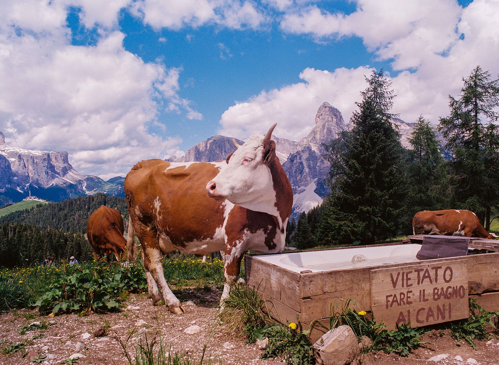 © Claudia Mann - Image from the Within the Mountain photography project