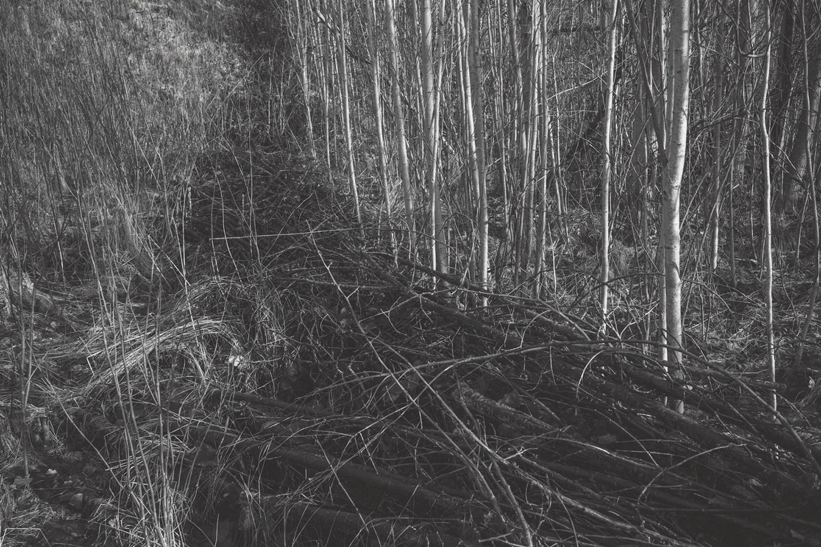 © Magdalena Ubysz - Traces left by the Nazis, which I discovered in the unfinished motorway and nearby forests in Poland.