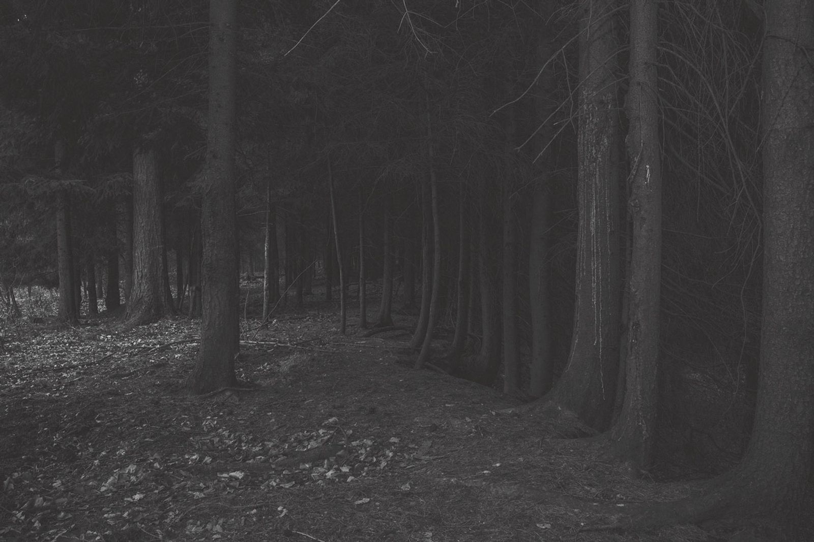 © Magdalena Ubysz - Traces left by the Nazis, which I discovered in the unfinished motorway and nearby forests in Poland.