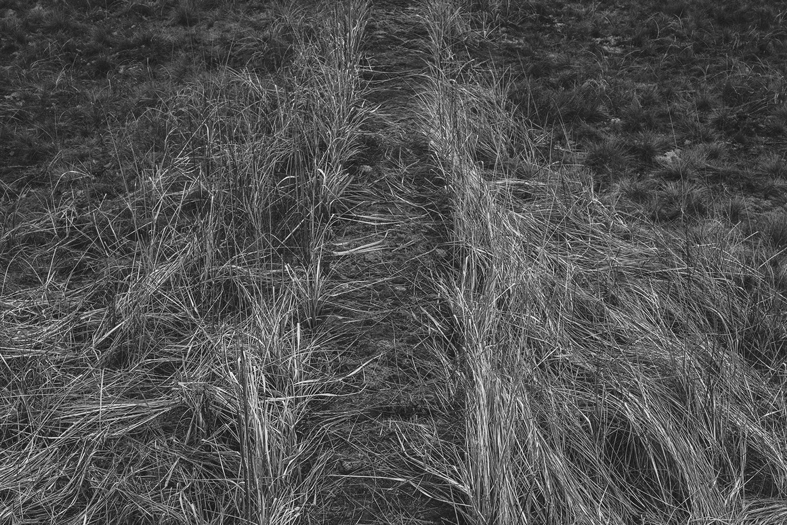 © Magdalena Ubysz - Traces left by the Nazis, which I discovered in the unfinished motorway and nearby forests in Poland.