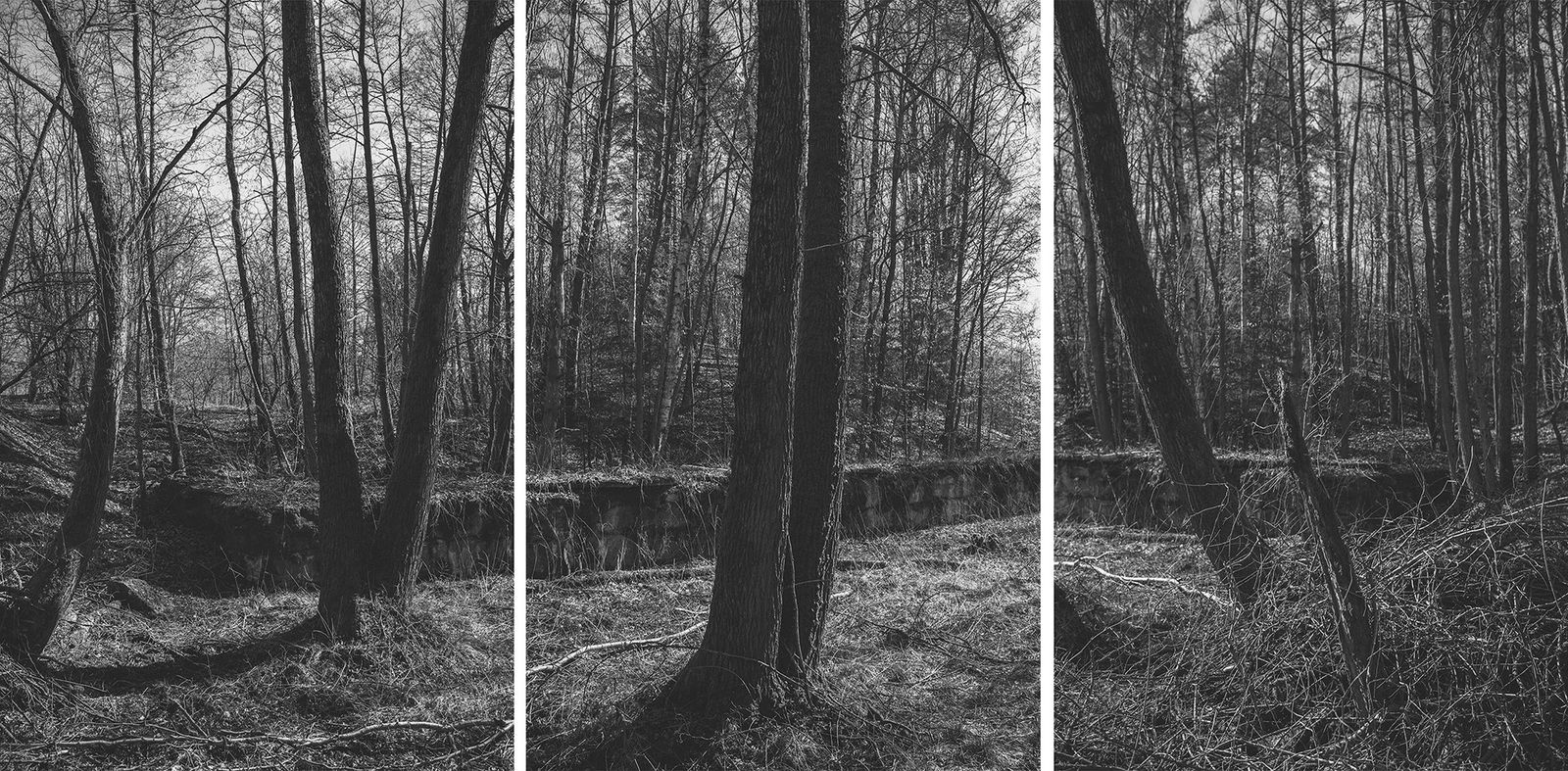 © Magdalena Ubysz - Traces left by the Nazis, which I discovered in the unfinished motorway and nearby forests in Poland.