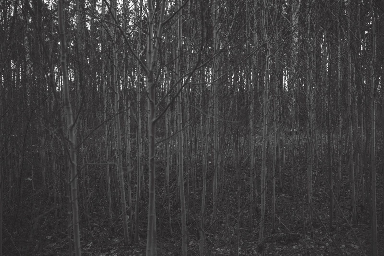 © Magdalena Ubysz - Traces left by the Nazis, which I discovered in the unfinished motorway and nearby forests in Poland.
