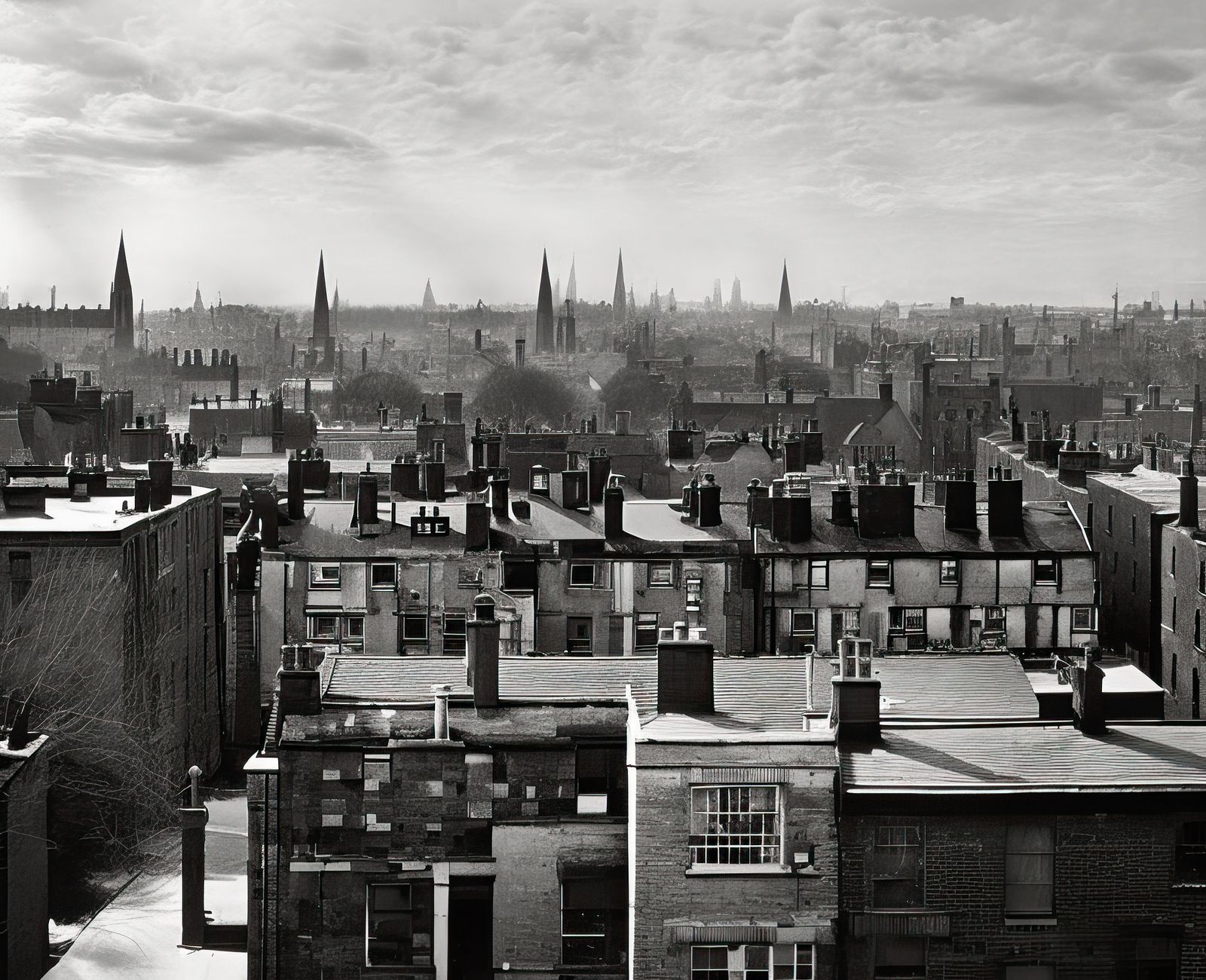 © Craig Ames - View from Harvard residential area, Cambridge. (Possibly After Nicholas Nixon)