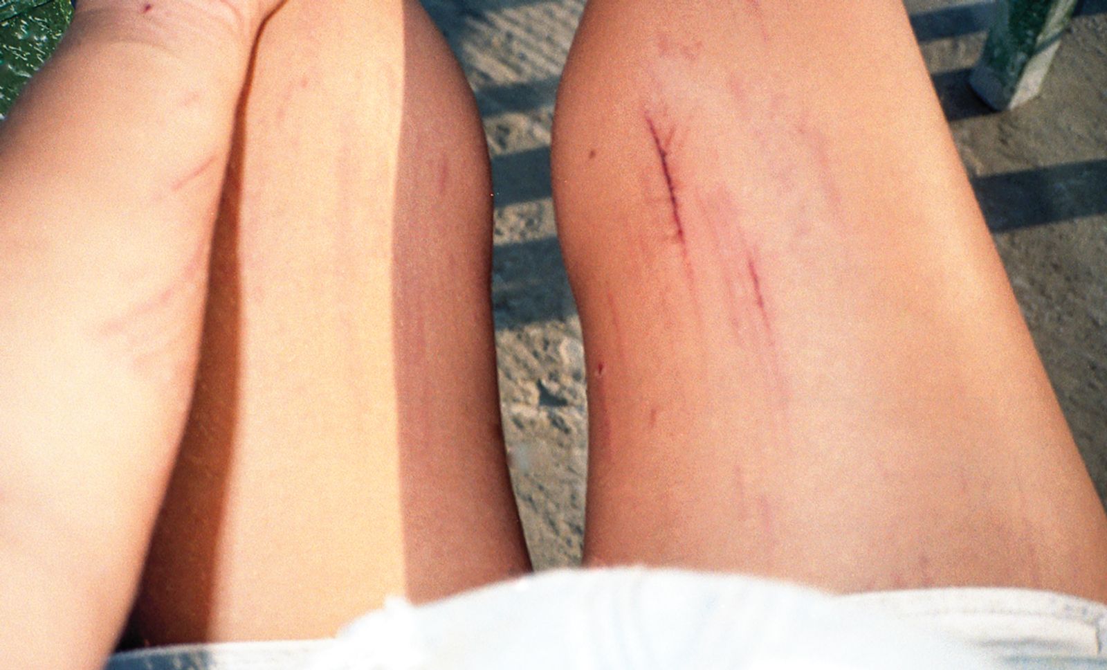 © Antigoni Papantoni - Image from the you can't go home again photography project