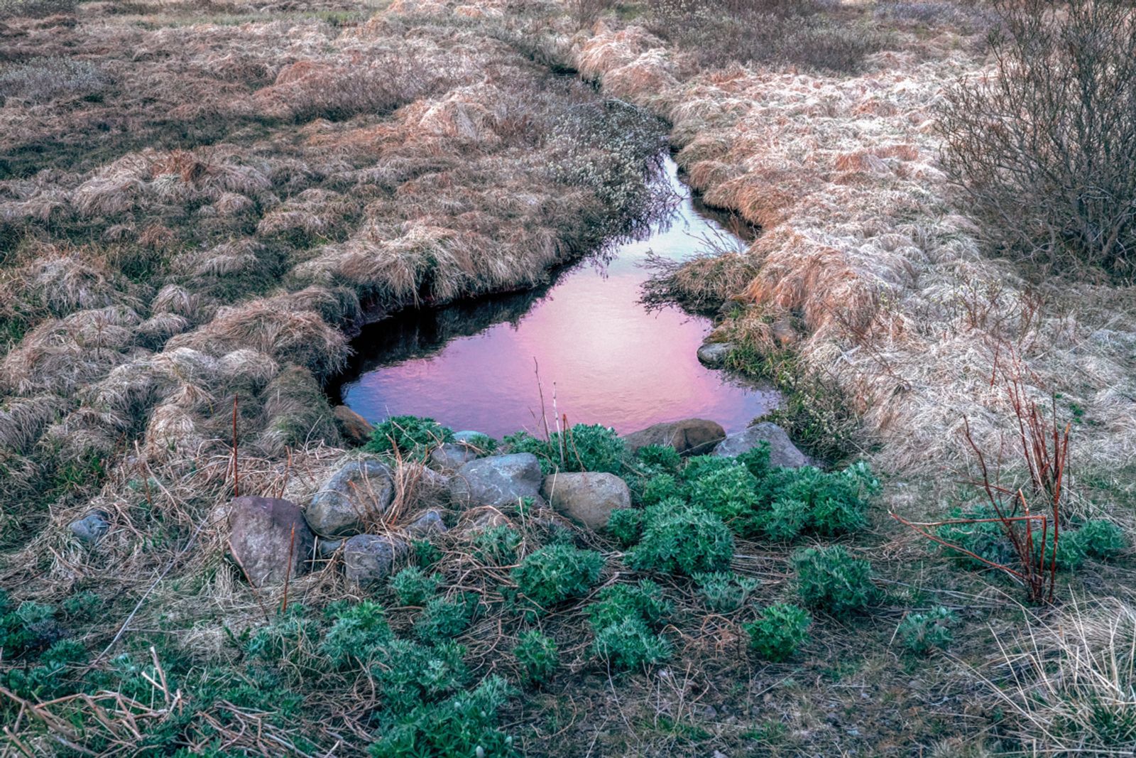 © Antigoni Papantoni - Image from the you can't go home again photography project