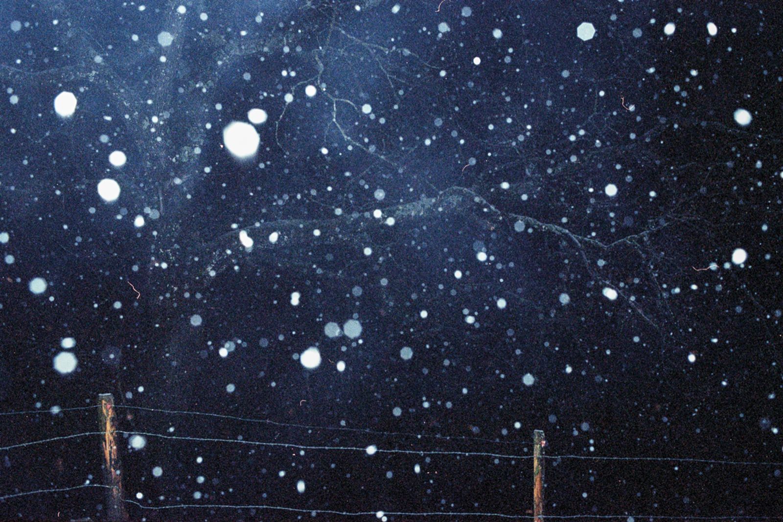 © Antigoni Papantoni - Image from the you can't go home again photography project