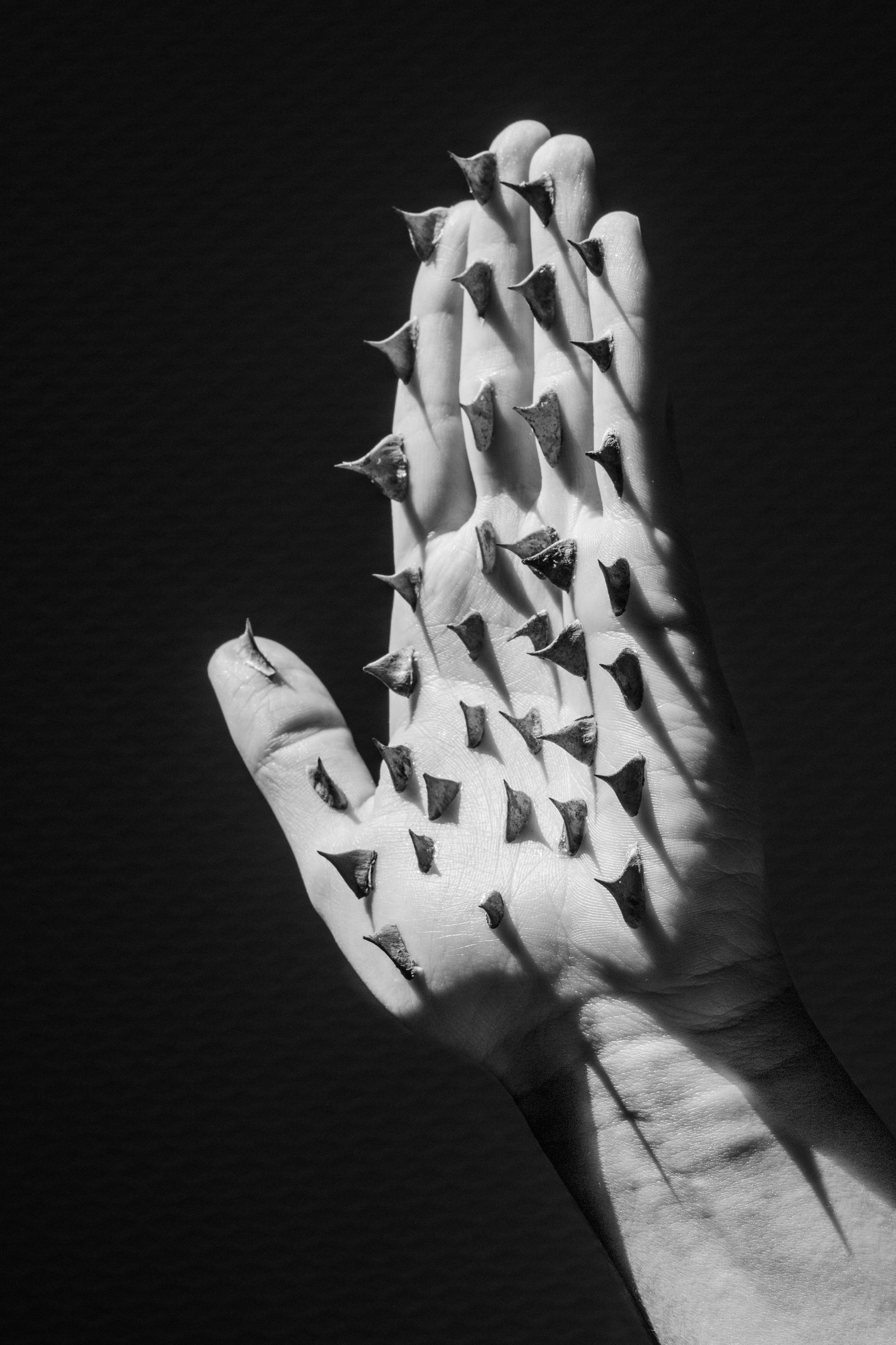 © Chloé Azzopardi - Image from the Non technological devices photography project