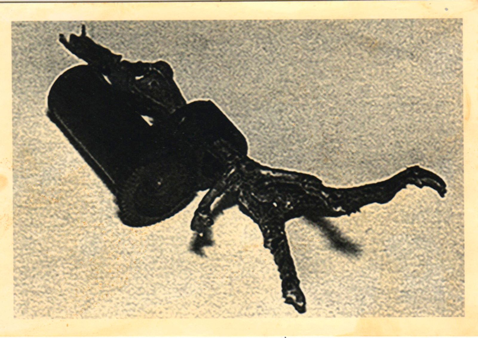 © Asya Zhetvina - The spy-pigeon’s leg, 1944