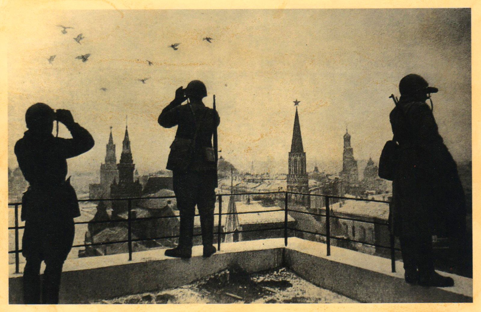 © Asya Zhetvina - The USSR soldiers are looking for a spy-pigeons