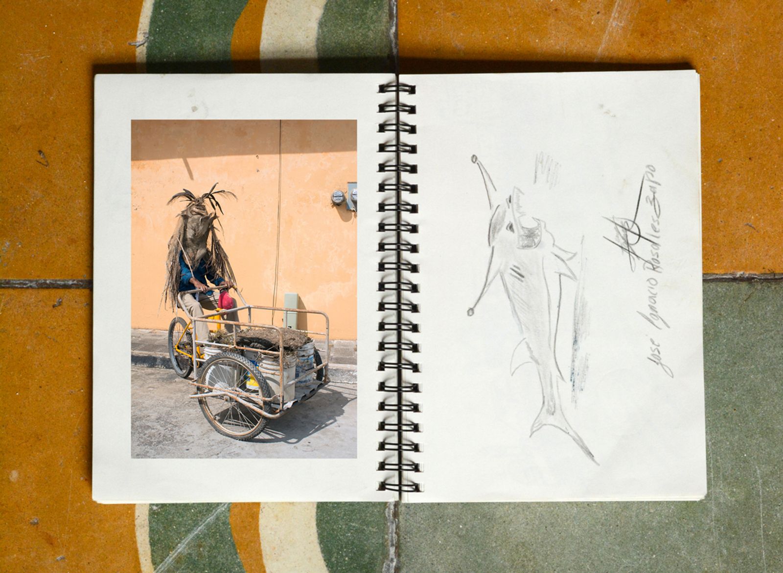 © Emilio Nasser - Image from the La Cornuda de Tlacotalpan photography project