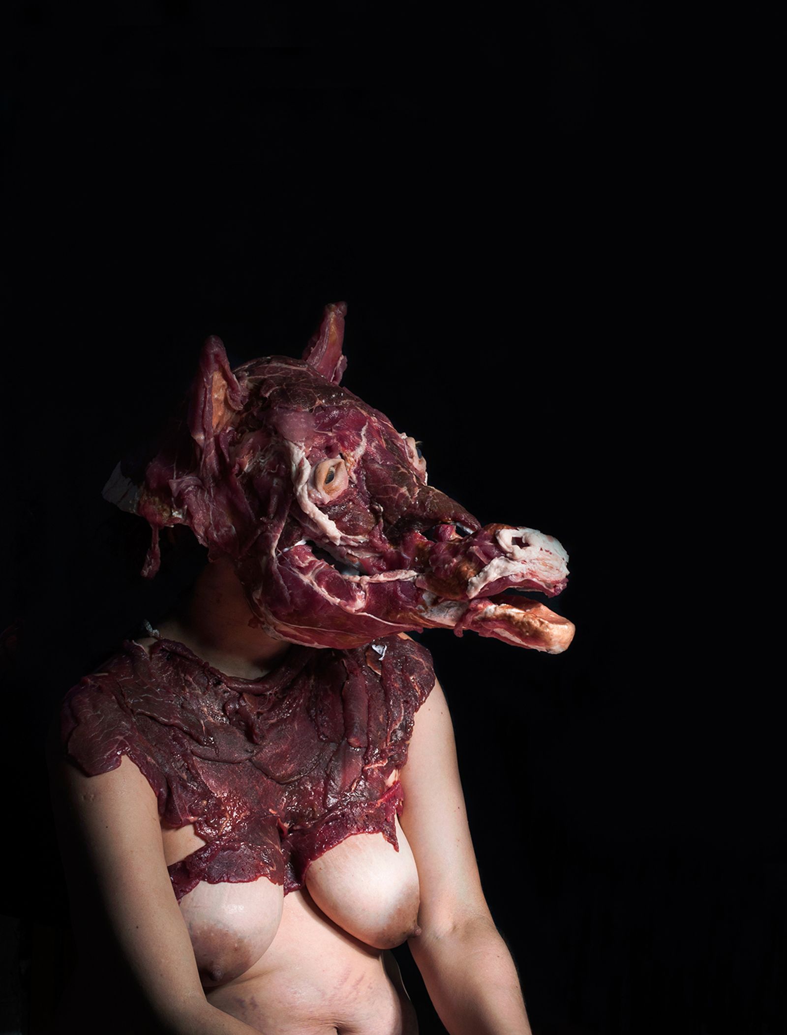 © Gabriela Rivera Lucero - Yegua II, Bestiario