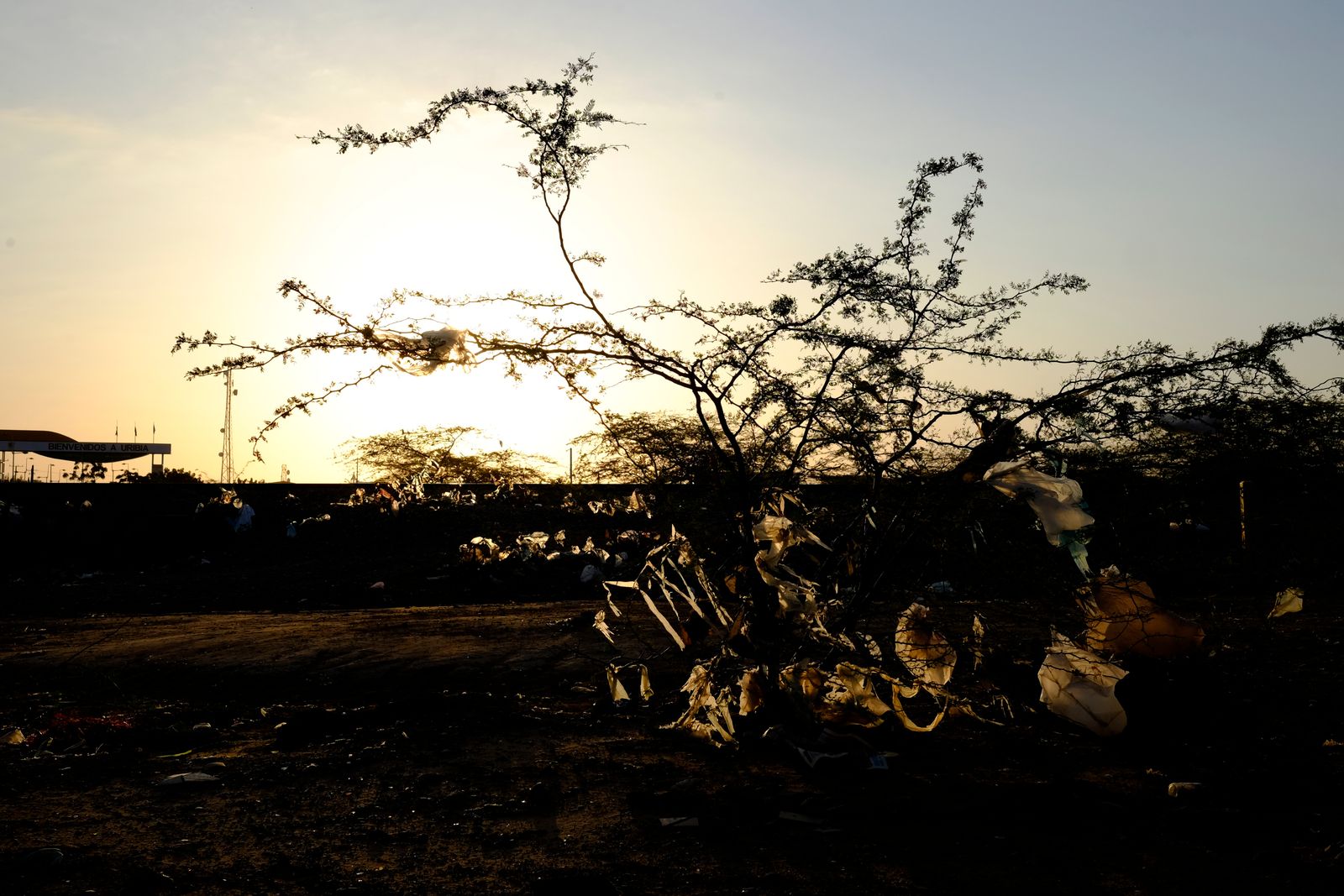 © Santiago Escobar-Jaramillo - The desert is relentless and dry.