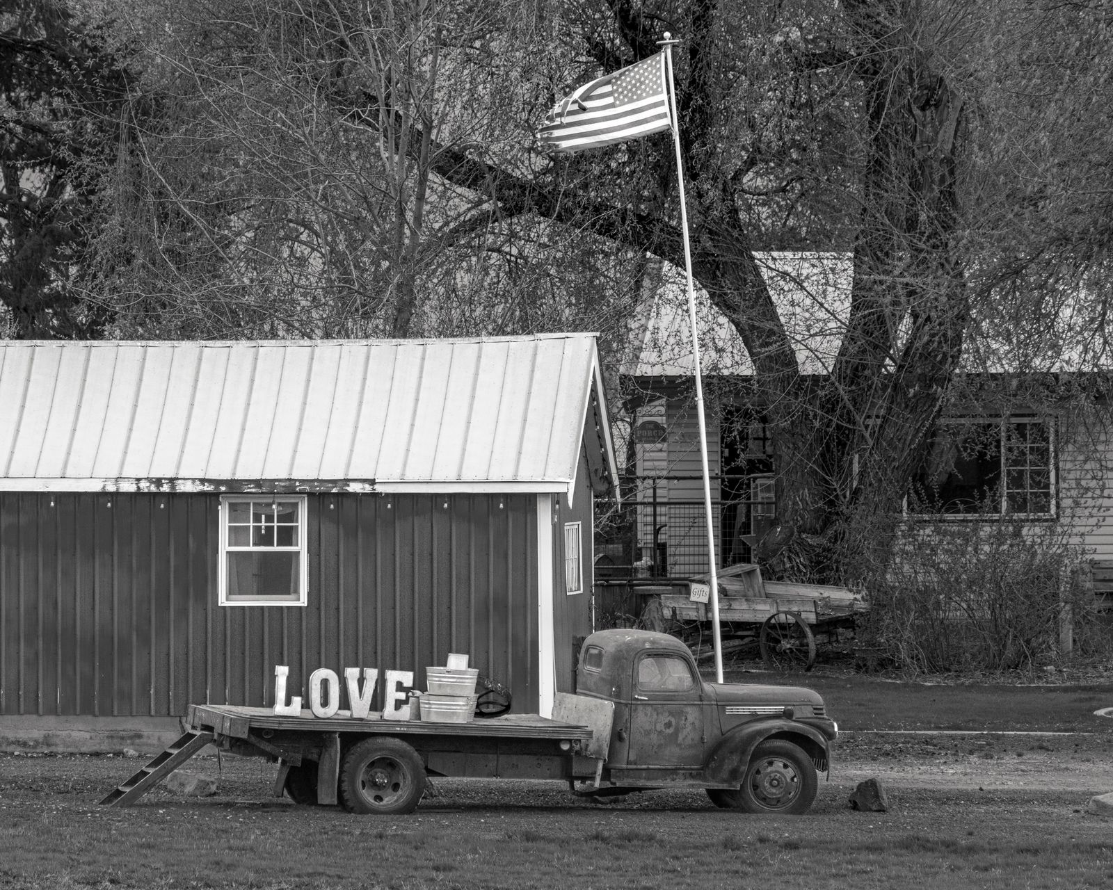 © Genavieve Heywood - I pledge allegiance