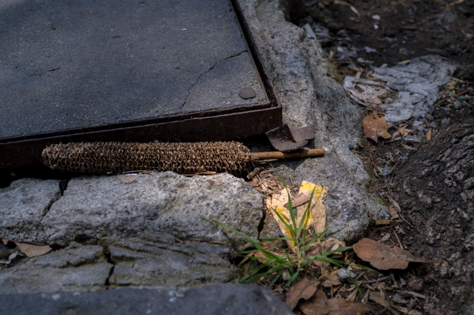 © Kristina Cordon - MEMORIES OF CHILDHOOD